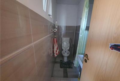 Casă cu 6 camere cu Canalizare în Turnișor - 19