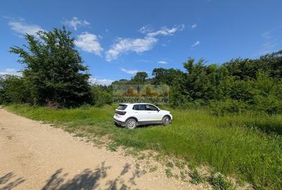 Teren Construcții intravilan de 1123.4599609375 mp, în Bălteni - 5