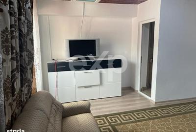Apartament cu 2 camere în Prundu