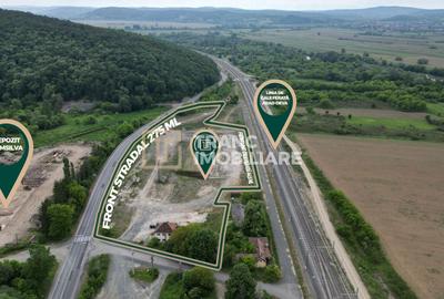 Spațiu industrial, de 117 mp, în Milova - 2