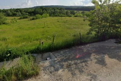 Teren Construcții intravilan de 8000 mp, în Pietrăria
