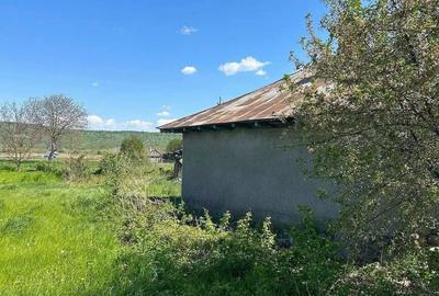 Casă cu Teren 1847 Mp în Horia