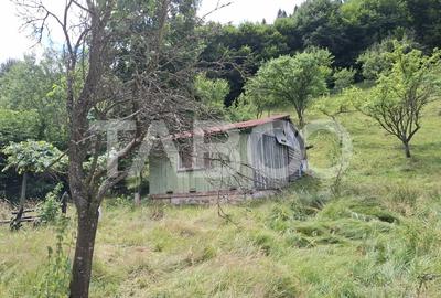 Teren extravilan de 2500 mp, în Rășinari - 5