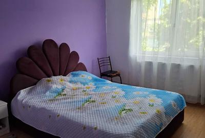 Apartament cu 2 camere semidecomandat în Brotăcei - 3