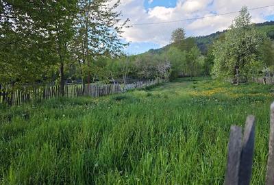 Teren de 959 mp, în Valea Doftanei