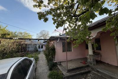Casă cu 9 camere cu Teren 3818 Mp în Țifești - 6
