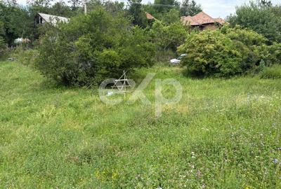 Teren Construcții intravilan de 6348 mp, în Corbeni - 5