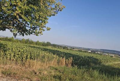 Teren de 4761 mp, în Horodnic