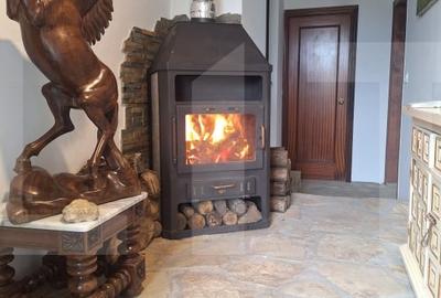Casă individuală cu 2 camere cu Teren 3300 Mp în Dorohoi