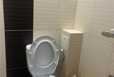 Garsonieră decomandată în Lunca Cetățuii - 17