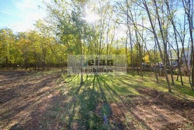 Teren Construcții intravilan de 1336 mp, în Ciofliceni - 6