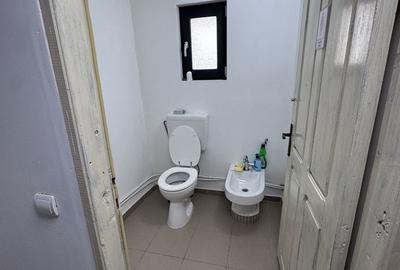 Spațiu comercial, de 750 mp, în Moșoaia - 2