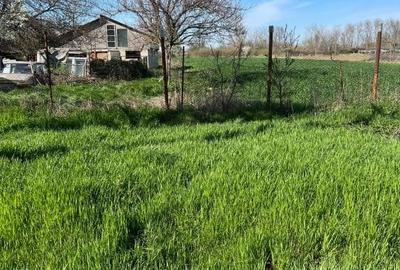 Casă individuală cu 2 camere cu Teren 2000 Mp în Ghilad - 3
