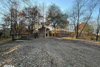 Teren de 10000 mp, în Recea - 6