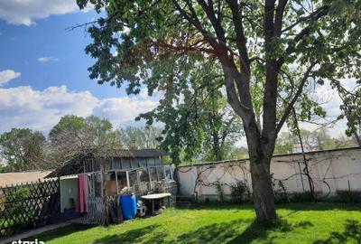 Casă cu 2 camere în Central - 3