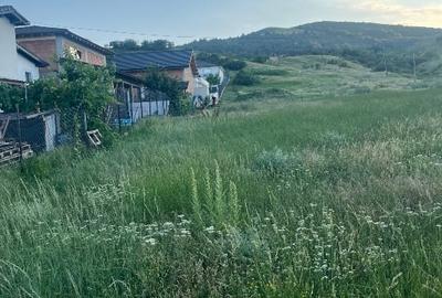 Teren Construcții intravilan de 3600 mp, în Micești - 2