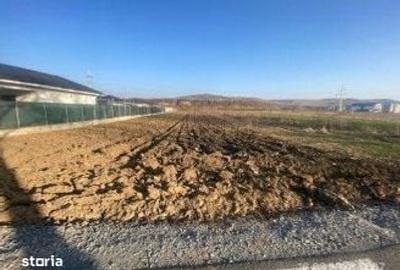 Teren de 292 mp, în Viișoara