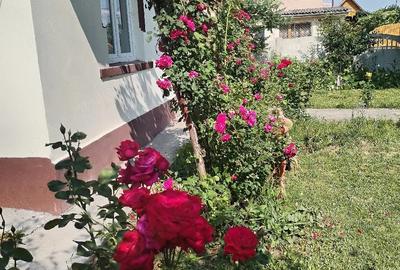 Casă cu Teren 5700 Mp în Gura Foii