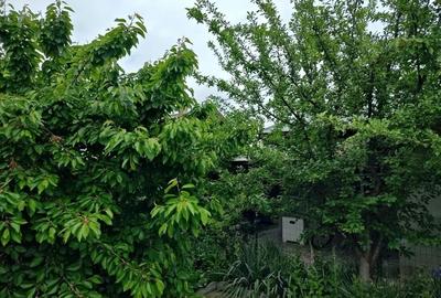 Casă cu 5 camere în Central - 13