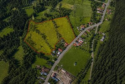 Teren de 33300 mp, în Tulgheș - 2