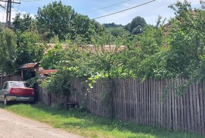 Casă cu Teren 2600 Mp în Central - 4