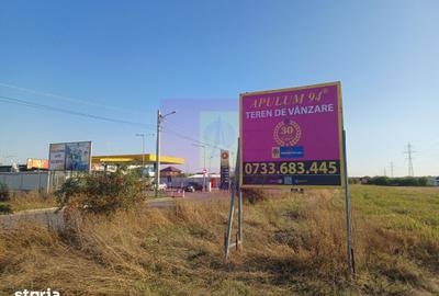 Teren de 30000 mp, în Săbăreni