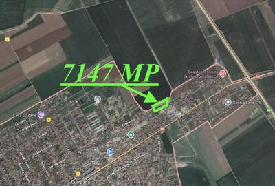 Teren Construcții intravilan de 7147 mp, în Cumpăna - 3
