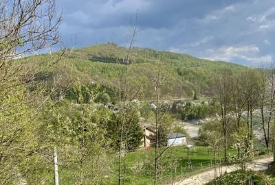 Teren de 1780 mp, în Valea Doftanei