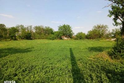 Teren de 3580 mp, în Smeeni - 4