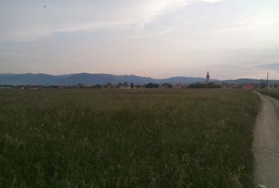 Teren agricol extravilan de 2600 mp, în Cristian - 6