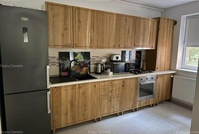 Apartament cu 2 camere decomandat, mobilat în Baba Novac - 4