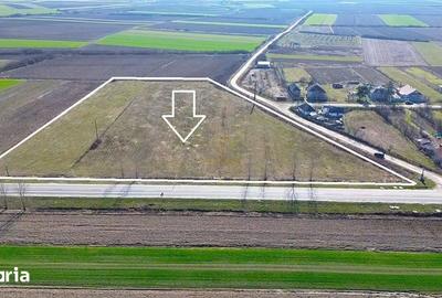 Teren de 14300 mp, în Medieșu Aurit - 3