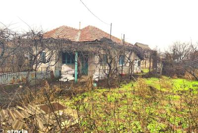 Teren de 1000 mp, în Săpoca - 3