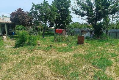 Casă cu 4 camere cu Teren 1490 Mp în Tămăoani - 3