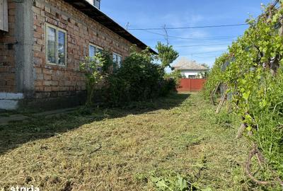 Casă cu 3 camere nedecomandat cu Teren 2540 Mp în Bucșani - 4