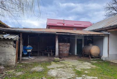 Casă cu 3 camere cu Teren 2800 Mp în Răcoasa - 3