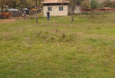 Casă cu 2 camere cu Teren 3600 Mp în Balotești