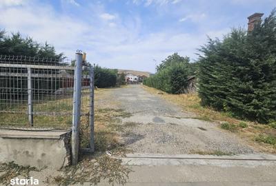 Spațiu comercial, de 1,600 mp, în Florești