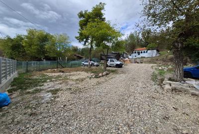 Casă cu 4 camere cu Teren 8000 Mp în Pruni