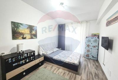 Apartament cu 2 camere semidecomandat, mobilat în Rahova - 6