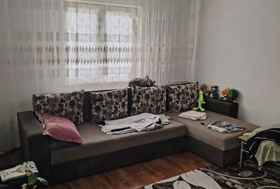 Apartament cu 2 camere semidecomandat în Baicului - 2