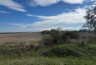 Teren agricol extravilan de 21496 mp, în Săcădat - 4