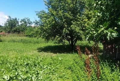 Teren intravilan de 1000 mp, în Kamsas - 2