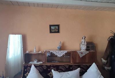 Casă cu 2 camere cu Teren 1511 Mp în Dolina