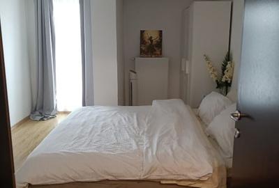 Apartament cu 3 camere decomandat, mobilat în Dudu - 13