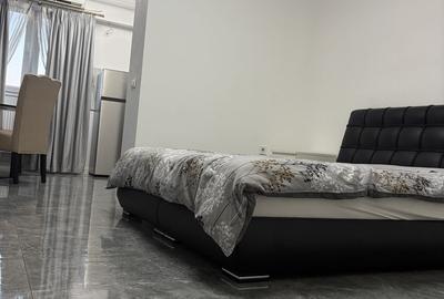 Garsonieră nedecomandată în Chișinau - 3