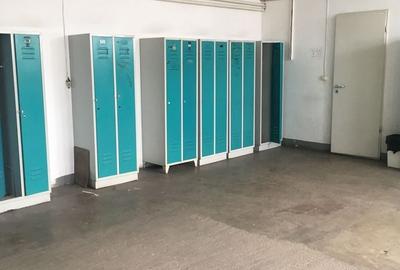 Spațiu industrial, de 7,100 mp, în Central - 5