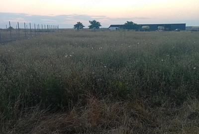 Teren de 640 mp, în Central