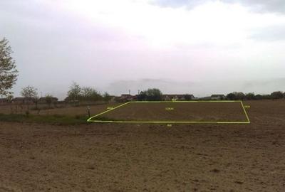 Teren de 9200 mp, în Bolintin-Vale - 5