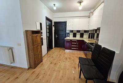 Apartament cu 2 camere semidecomandat, mobilat în Roșu - 3